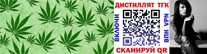 Купить где  Афипский  ТГК концентрат 